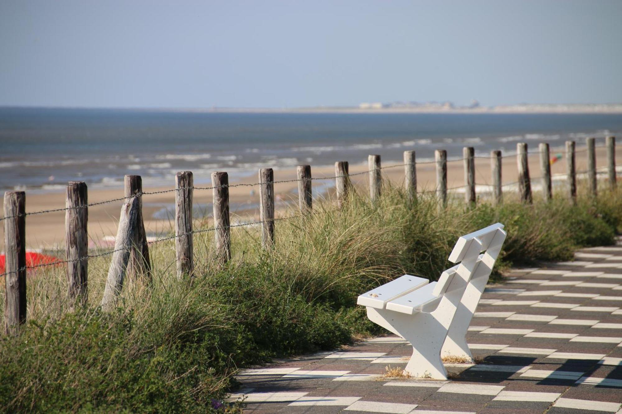 B&B Little Miss Sunshine Zandvoort Eksteriør bilde